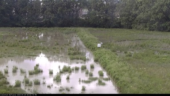 Cell 3 to 4_24-05-29_16-02-11-34