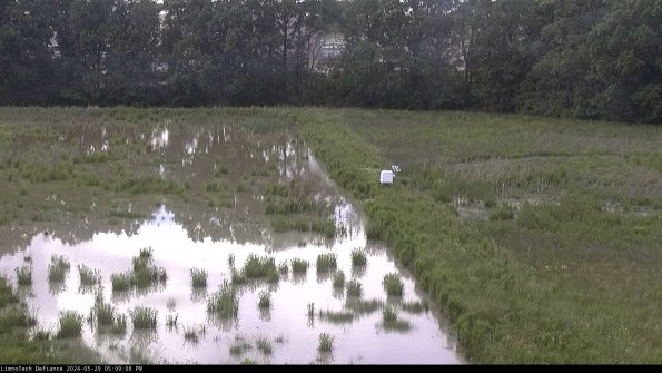 Cell 3 to 4_24-05-29_17-09-09-35