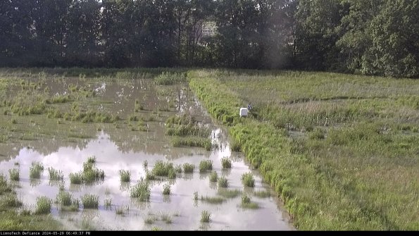 Cell 3 to 4_24-05-29_18-49-38-34