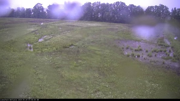 Cell 3_24-05-29_07-06-04-35