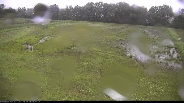 Cell 3_24-05-29_08-13-03-35