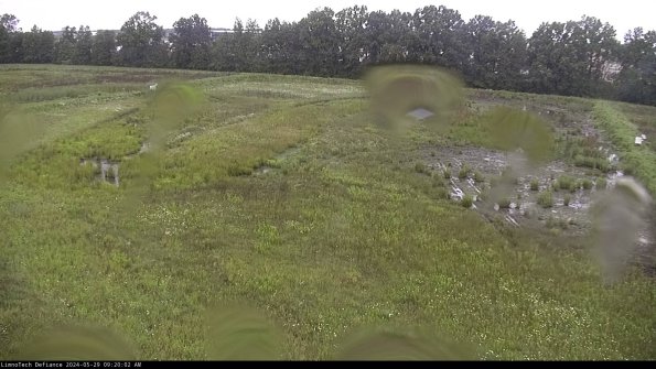 Cell 3_24-05-29_09-20-03-32