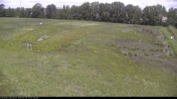 Cell 3_24-05-29_12-07-29-55