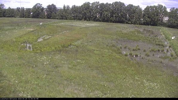 Cell 3_24-05-29_12-40-59-33