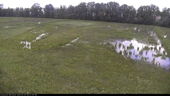 Cell 3_24-05-29_14-21-29-53