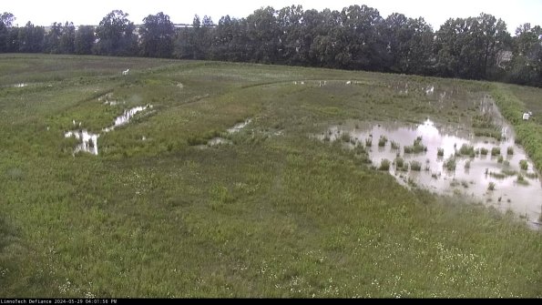 Cell 3_24-05-29_16-01-57-32