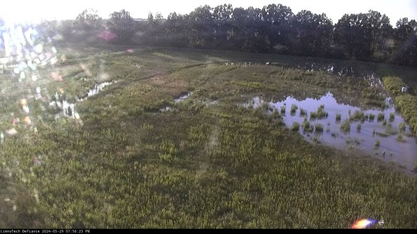 Cell 3_24-05-29_19-56-24-33