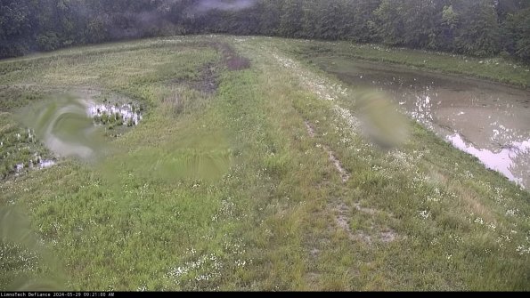 Cell 4 to Basin_24-05-29_09-21-01-34