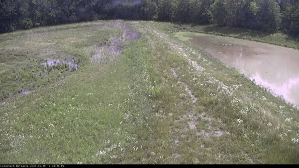 Cell 4 to Basin_24-05-29_12-08-27-34