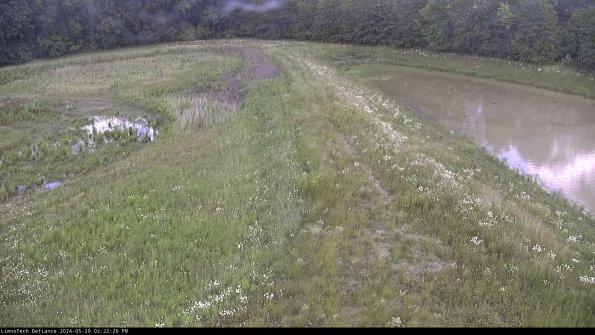 Cell 4 to Basin_24-05-29_14-22-27-32