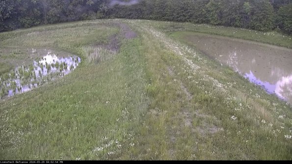 Cell 4 to Basin_24-05-29_16-02-55-35