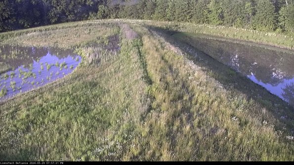 Cell 4 to Basin_24-05-29_19-57-22-32