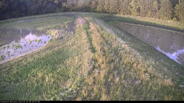 Cell 4 to Basin_24-05-29_20-30-53-34