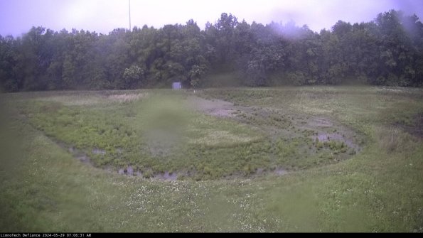 Cell 4_24-05-29_07-06-32-34