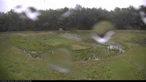 Cell 4_24-05-29_08-13-31-34