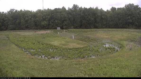 Cell 4_24-05-29_11-00-59-34