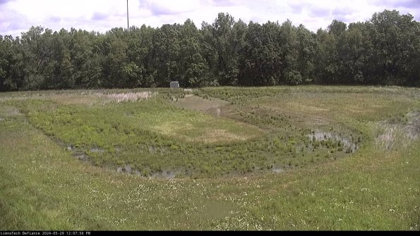 Cell 4_24-05-29_12-07-57-34