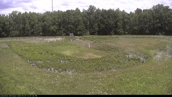 Cell 4_24-05-29_12-41-27-33