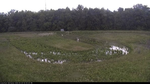 Cell 4_24-05-29_14-55-26-31