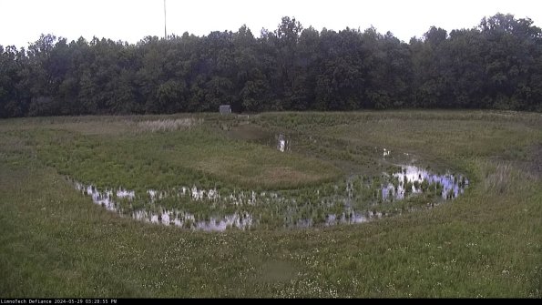 Cell 4_24-05-29_15-28-56-33