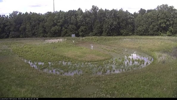 Cell 4_24-05-29_16-02-25-32