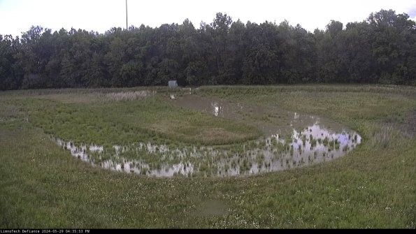 Cell 4_24-05-29_16-35-54-34