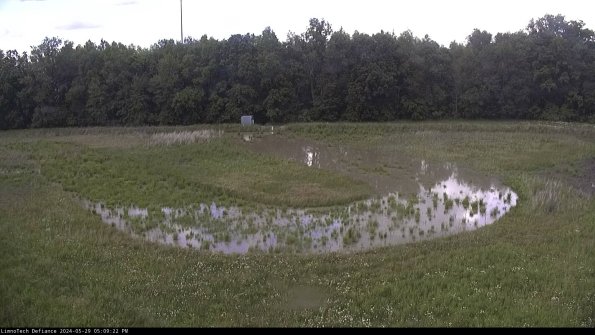 Cell 4_24-05-29_17-09-23-33