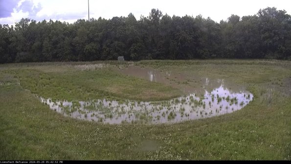 Cell 4_24-05-29_17-42-53-32