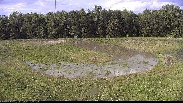 Cell 4_24-05-29_18-49-52-32