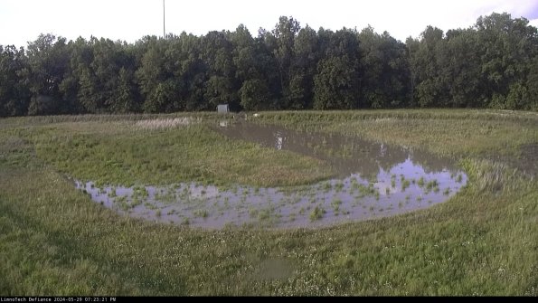 Cell 4_24-05-29_19-23-22-34