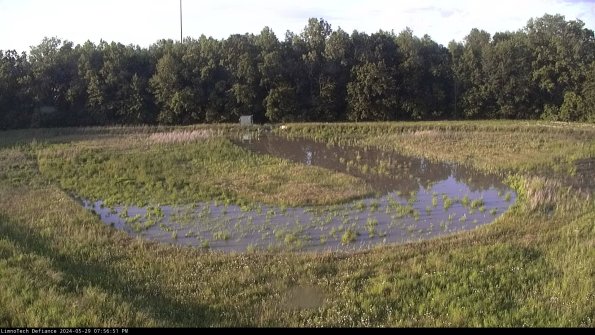 Cell 4_24-05-29_19-56-52-33