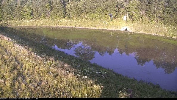 Basin_24-05-30_19-57-45-41