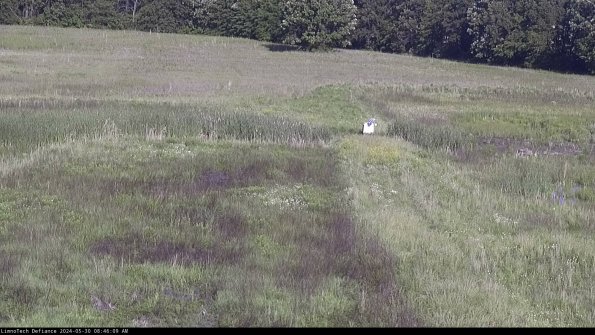 Cell 1 to 2_24-05-30_08-46-10-36