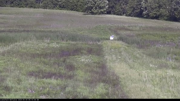 Cell 1 to 2_24-05-30_09-19-39-32