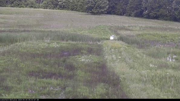 Cell 1 to 2_24-05-30_09-53-08-34