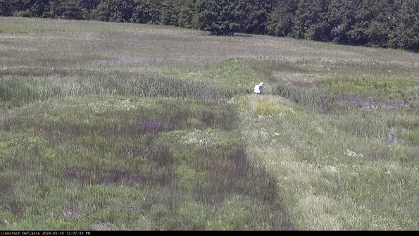 Cell 1 to 2_24-05-30_12-07-04-32