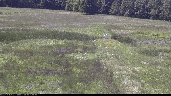 Cell 1 to 2_24-05-30_14-21-00-33