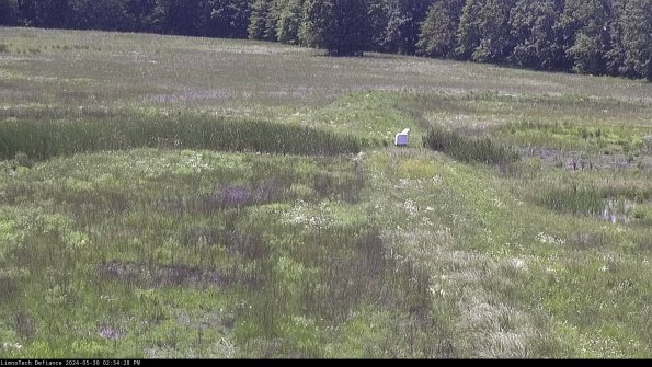 Cell 1 to 2_24-05-30_14-54-29-35