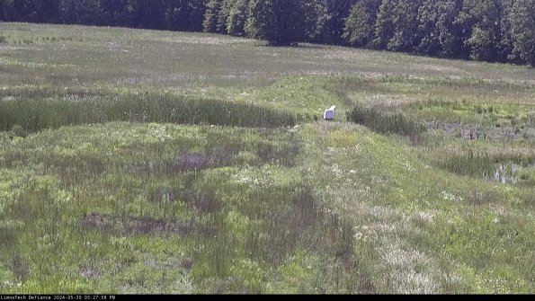 Cell 1 to 2_24-05-30_15-27-59-33