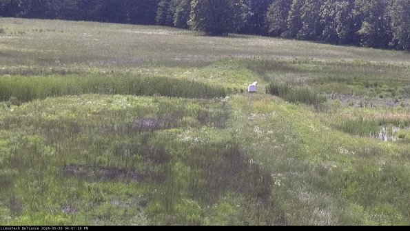 Cell 1 to 2_24-05-30_16-01-27-32