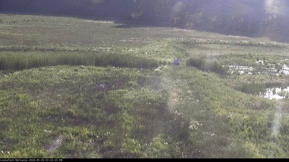 Cell 1 to 2_24-05-30_19-22-24-31