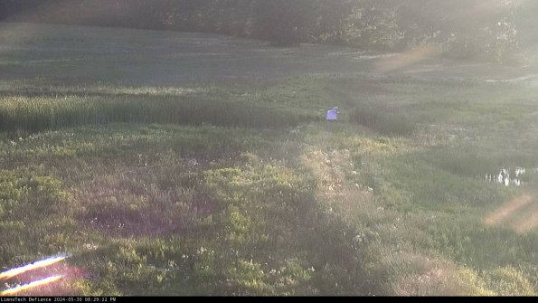 Cell 1 to 2_24-05-30_20-29-23-35