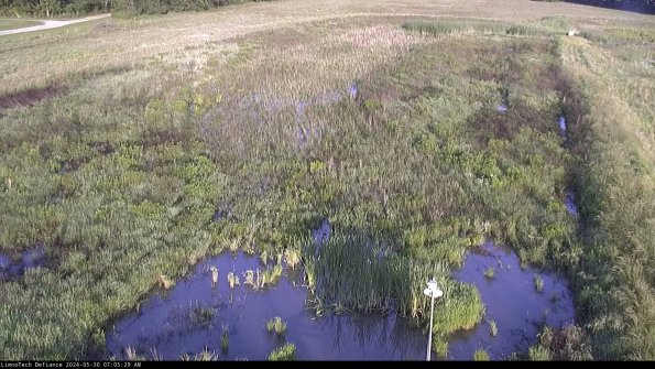 Cell 1_24-05-30_07-05-30-33