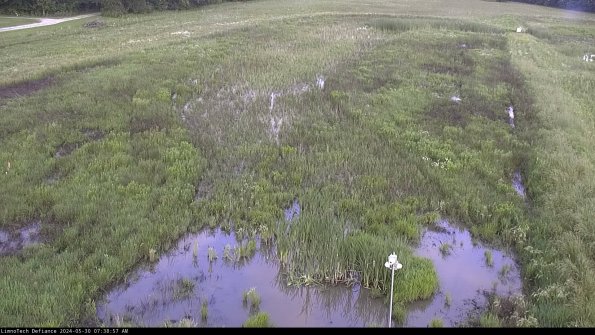 Cell 1_24-05-30_07-38-58-34