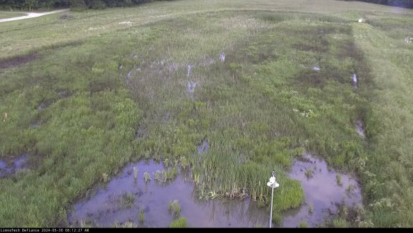 Cell 1_24-05-30_08-12-28-33