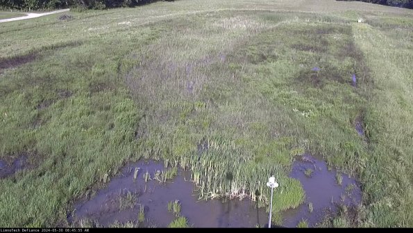 Cell 1_24-05-30_08-45-56-35