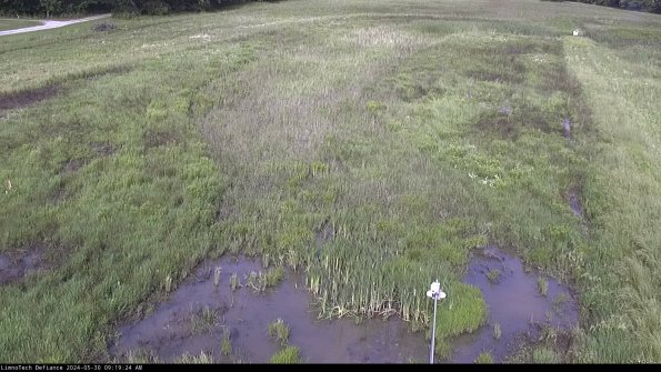 Cell 1_24-05-30_09-19-25-34