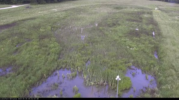 Cell 1_24-05-30_09-52-54-32