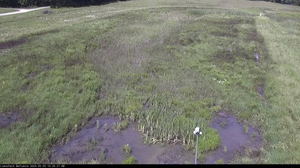 Cell 1_24-05-30_10-26-22-31