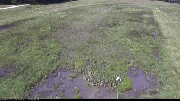 Cell 1_24-05-30_10-59-52-33